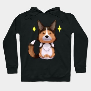 Sable Cardigan corgi Hoodie